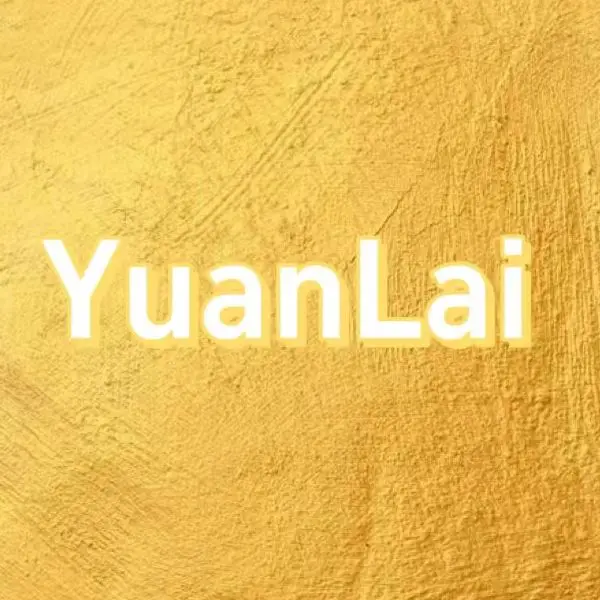 YuanLai Car Phone Holder Store