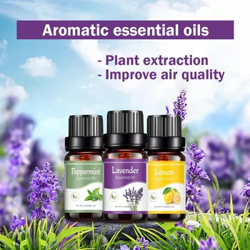 Natural Herb Essential Oils for Aroma Diffuser Air Humidifier Home Water-soluble 10ml Air Freshener Scents Fragrance Oil Perfume 3