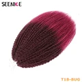 T1B/Burgundy