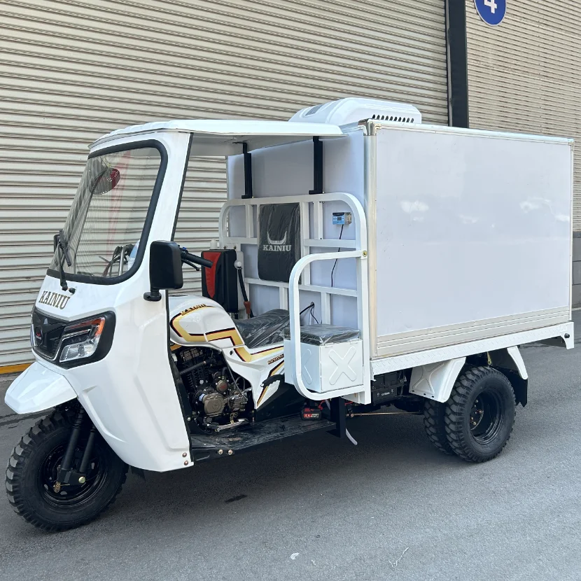 2025 Best Seller Factory Direct Sales KAINIU Closed Cargo With Refrigerator Tricycle 8℃~-18℃ Adjustable Tricycle Motorcycle
