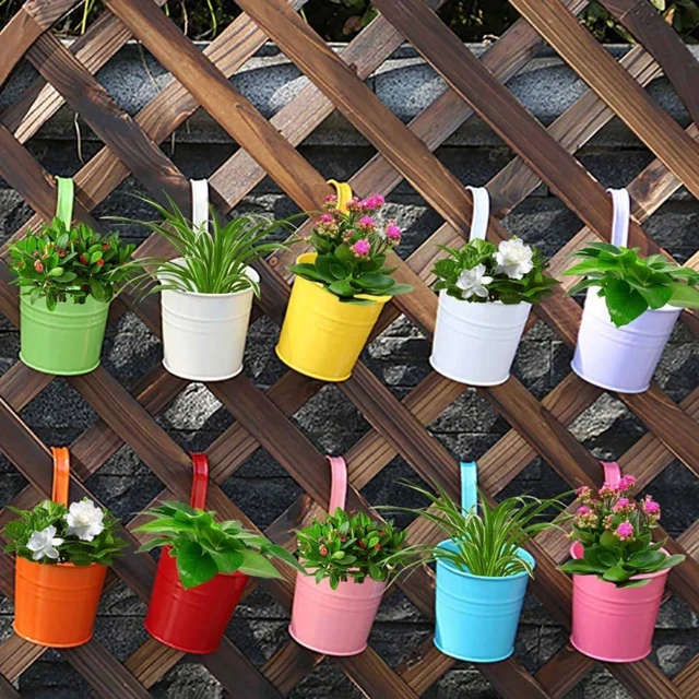  Macetas colgantes, 10 piezas para colgar plantas, soportes de  flores de hierro de metal, barandilla de cubo, macetas colgantes para  interiores, exteriores, balcón, jardín, valla de pared con gancho  desmontable para