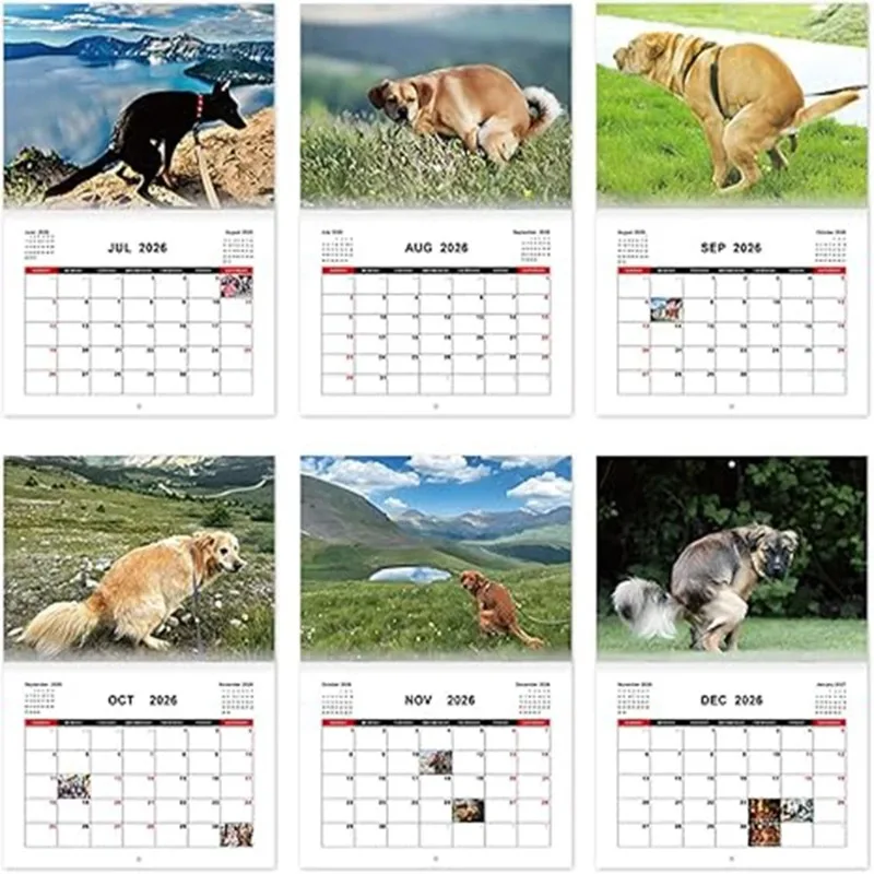 A Calendar with Important Annotations and Interesting Gift Space, Suitable for Convenient Home Decoration for Dog Lovers