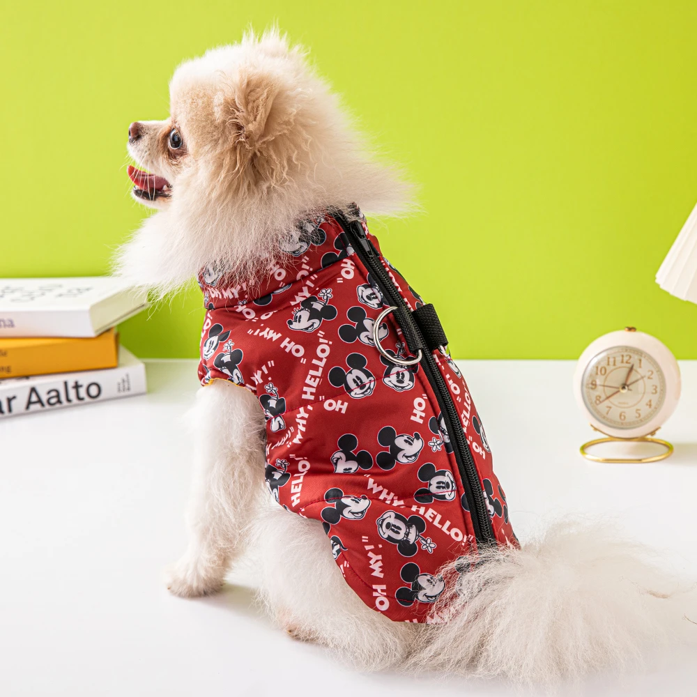 How Much Does A Mickey Dog Cost