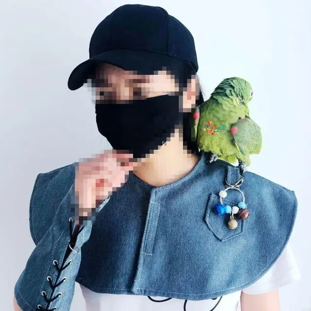 Parrot Anti-scratch Shoulder Protector Cape Cover for Bird Poops Shawl Guard for Small Large Birds 2 Colors 2