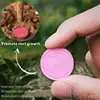 22pcs Gardening Universal Slow-Release Tablet Organic Fertilizer Plant Flowers Nitrogen Phosphorus Potassium Slow Release Agent 1