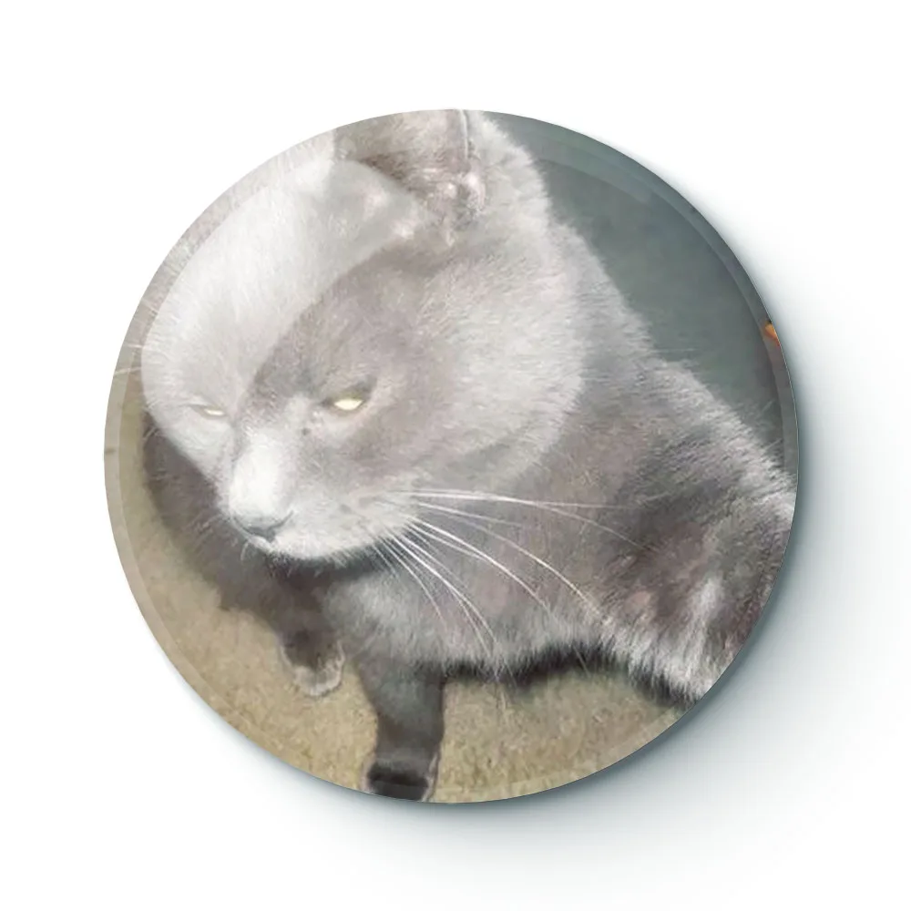 

CAT MEME 038 Buttons Brooches Pin Jewelry Accessory Customize Brooch Fashion Lapel Badges