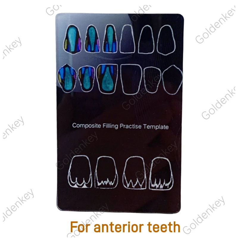 Modèle De Dents Pour Pratique Dentaire - Anterieures Et Postérieures, Résine Composite, Neuf, Chine