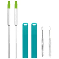 Eco-Friendly Collapsible Stainless Steel Straw Set with Case, Silicone Tip, and Cleaning Brush