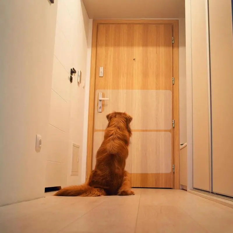 Protection Anti-rayures De Porte – Protection Anti-griffe De Chien Transparente Pour Porte Adhésive Lisse, Empêche Les Griffures