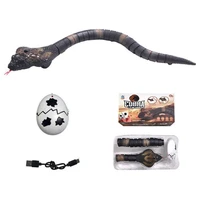 Interactive Cats Toy Funny Teasing Toy Rechargeable Toy Electric Crawling Toy for Felines Play Toy Cats Supplies 1