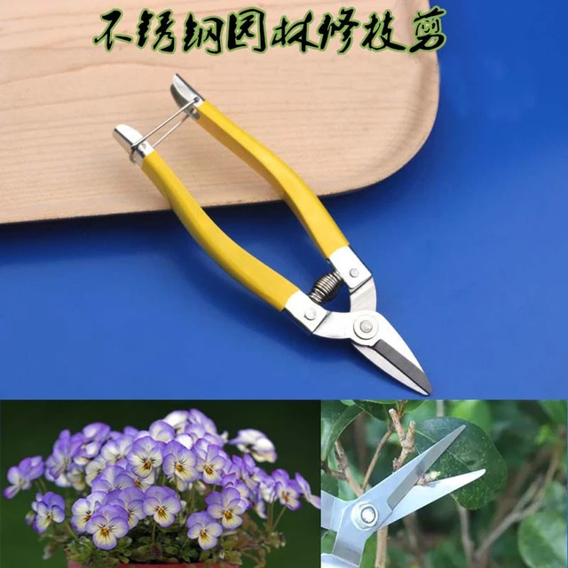 Small Garden Pruning Shears Potted Handle Orchard Scissors Branch Fruit  Picking Farm Professional Bonsai Gardening Tools - AliExpress