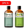 Eucalyptus Bergamot