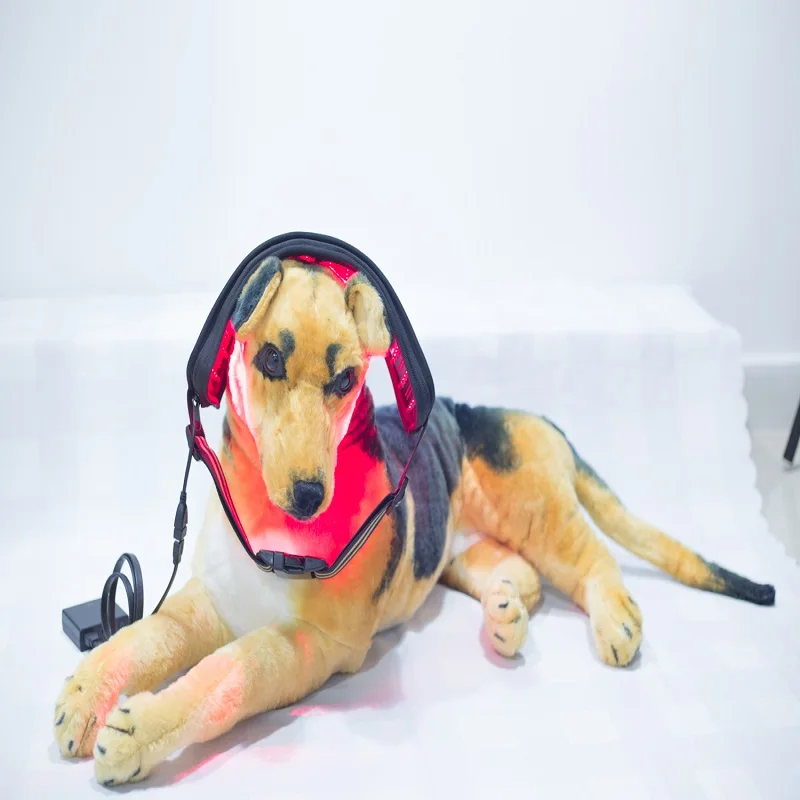 Laser Therapy Device 650nm 808nm for Sport Injuries Arthritis Heel Spurs Pain Relief for human Pet Cat Dog Horse