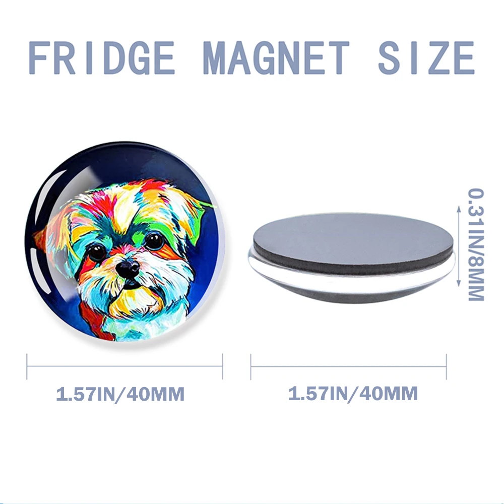 Magnete Da Frigo Con Chihuahua Che Sbircia – Cane In Vetro 4cm – Simpatico Magnere Per Lavagna E Armadietti