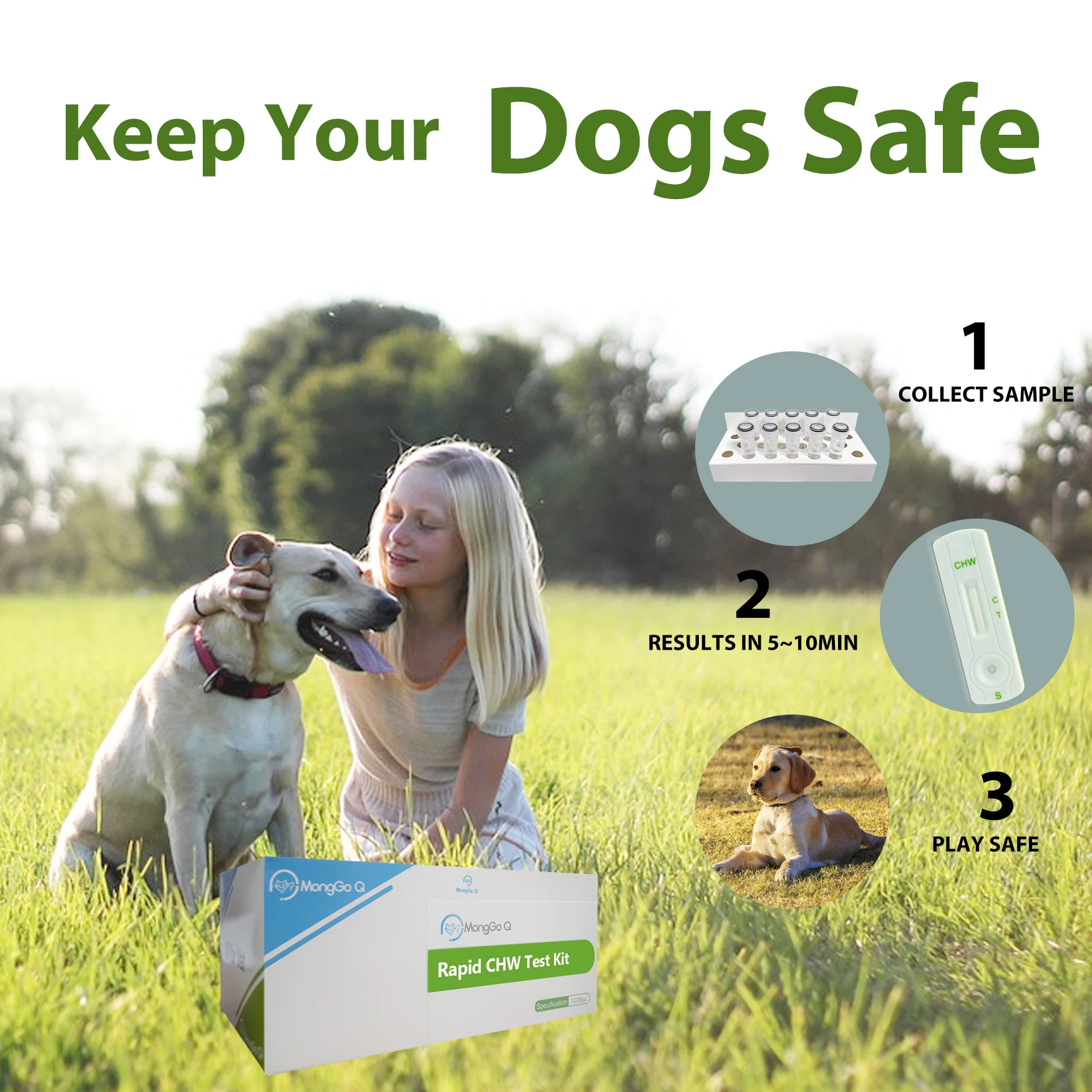 MongGo Q-Canine Heartworm Tick Diagnostic Health Testing Kit for