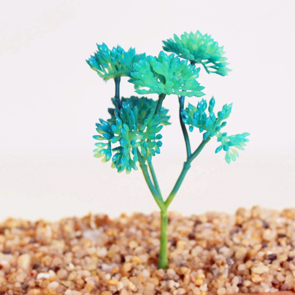 Colorful Mini Succulent Plant Set for DIY Wall Flower Arrangements