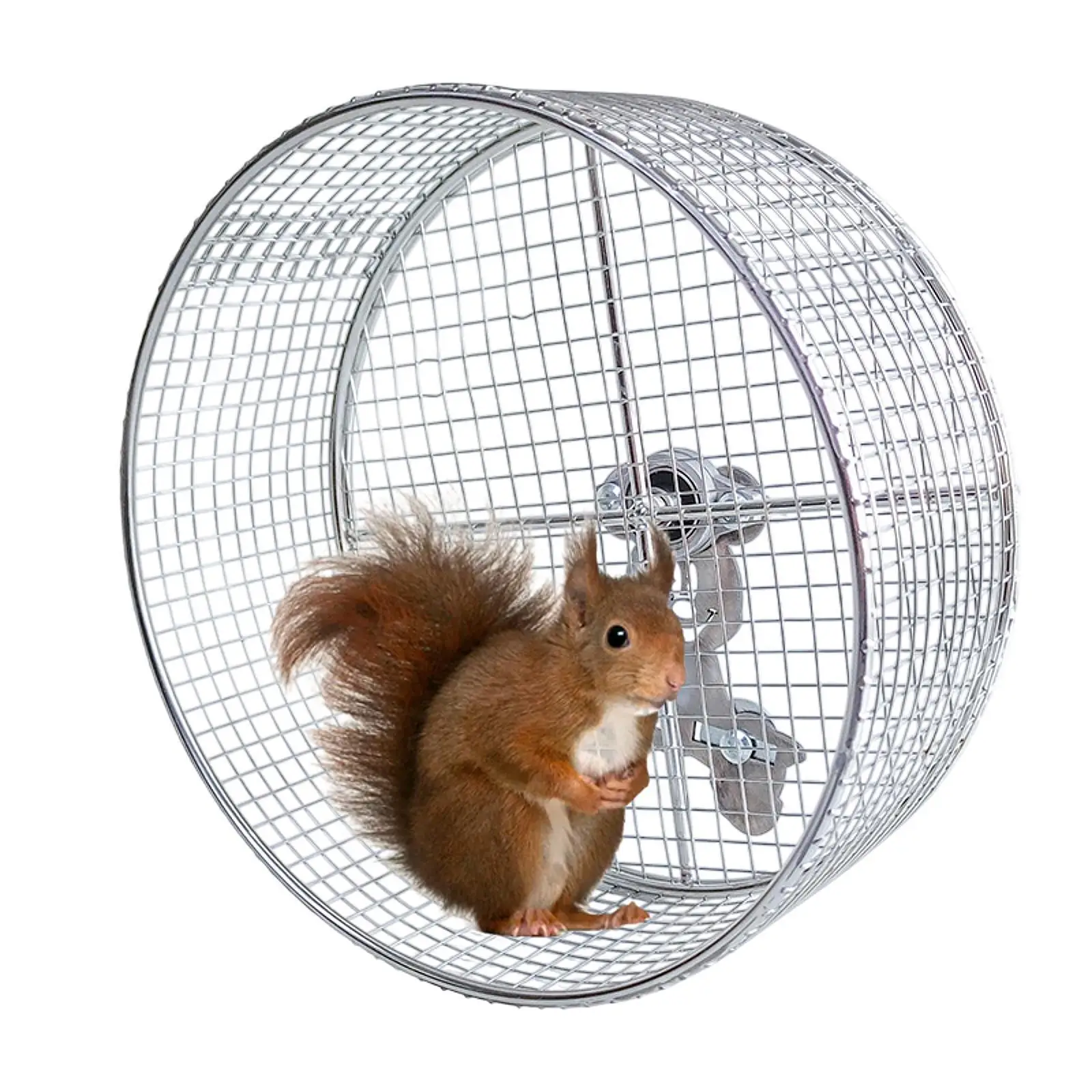 Hamster Running Exercise Wheel Mute Guinea Pig Jogging Wheel