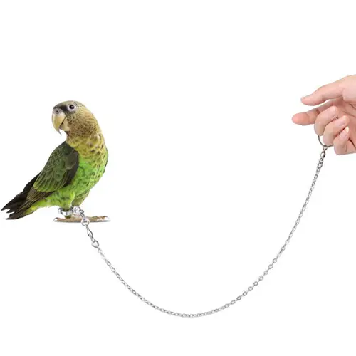 Cockatiel 합금 풋 링, 잠금 장치 포함, 멀티 사이즈 발찌, 캐치 체인 앵무새 야외 걷기 비행 액세서리, 새 스탠드 발찌 3