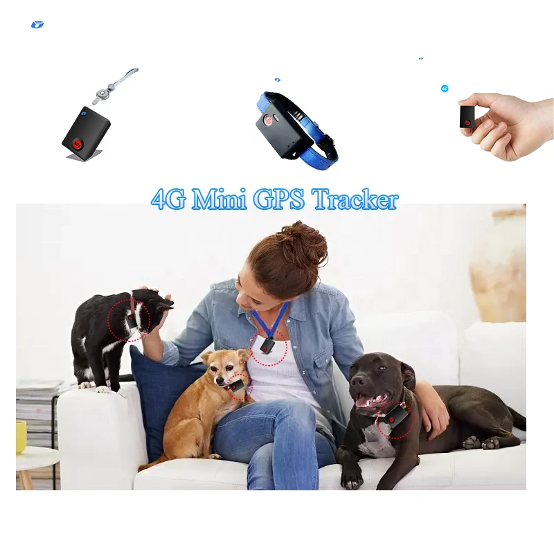 4g Gps Keyring Tracking Device With Sos Button Gps Trackers AliExpress