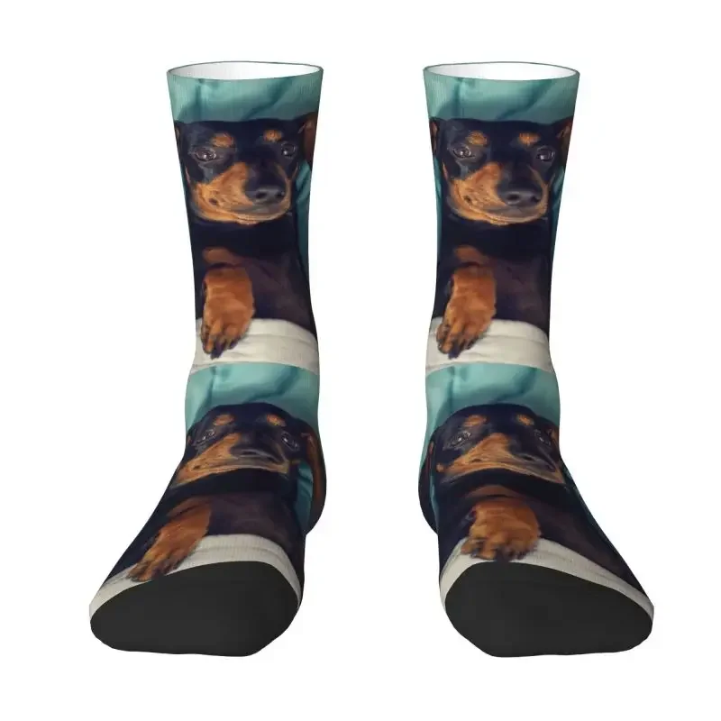 

Funny Dachshund Socks Men Women Warm 3D Printed Badger Sausage the Wiener Dog Sports Football Socks