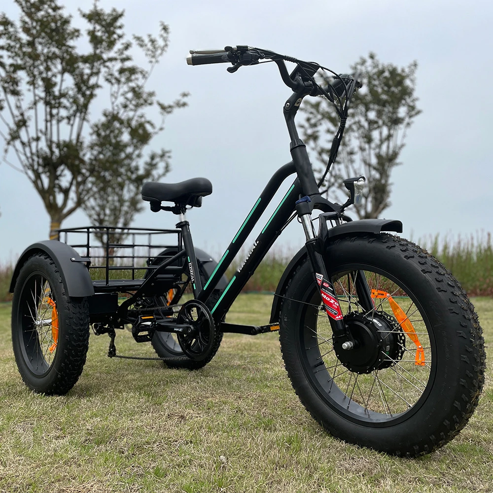 Ezreal Usa Warehouse 500w 750 Watt Electric Bike 3 Three Wheel Fat Tire