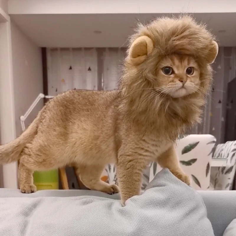 

Cat Lion Head Cover Rabbit Ears Small Dog Dog Hat Pet Cute Quirky Headwear Crossdress Holiday Costume