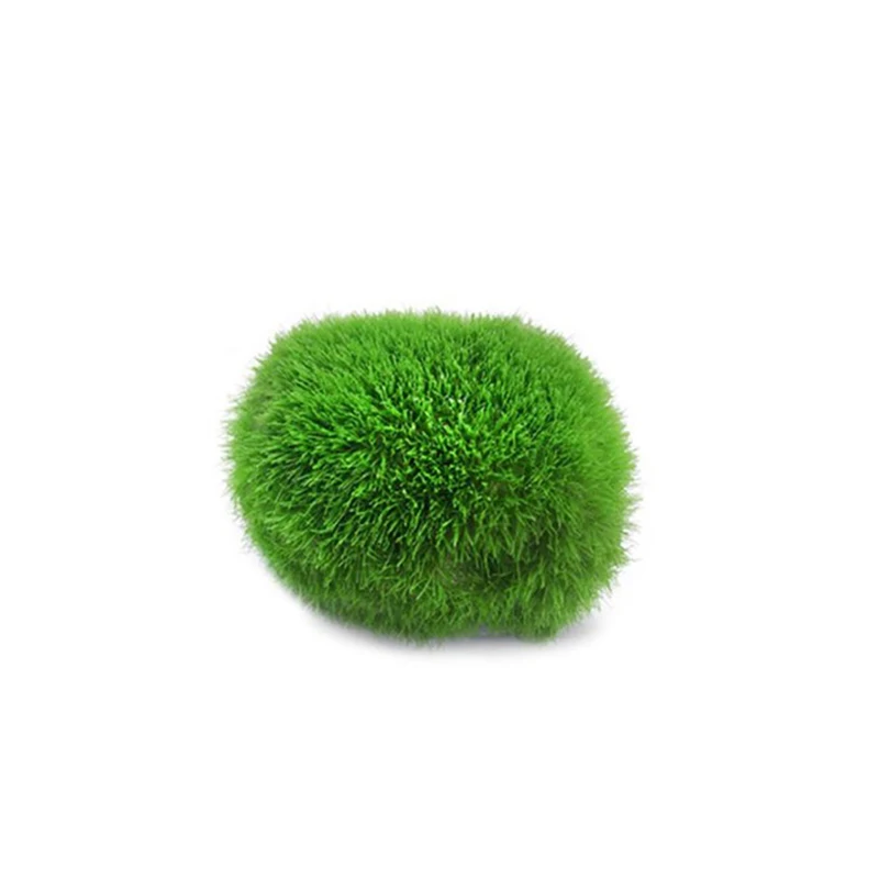 Title 7, 3-4cm Marimo Moss Balls Live Aquarium Plant Alg...