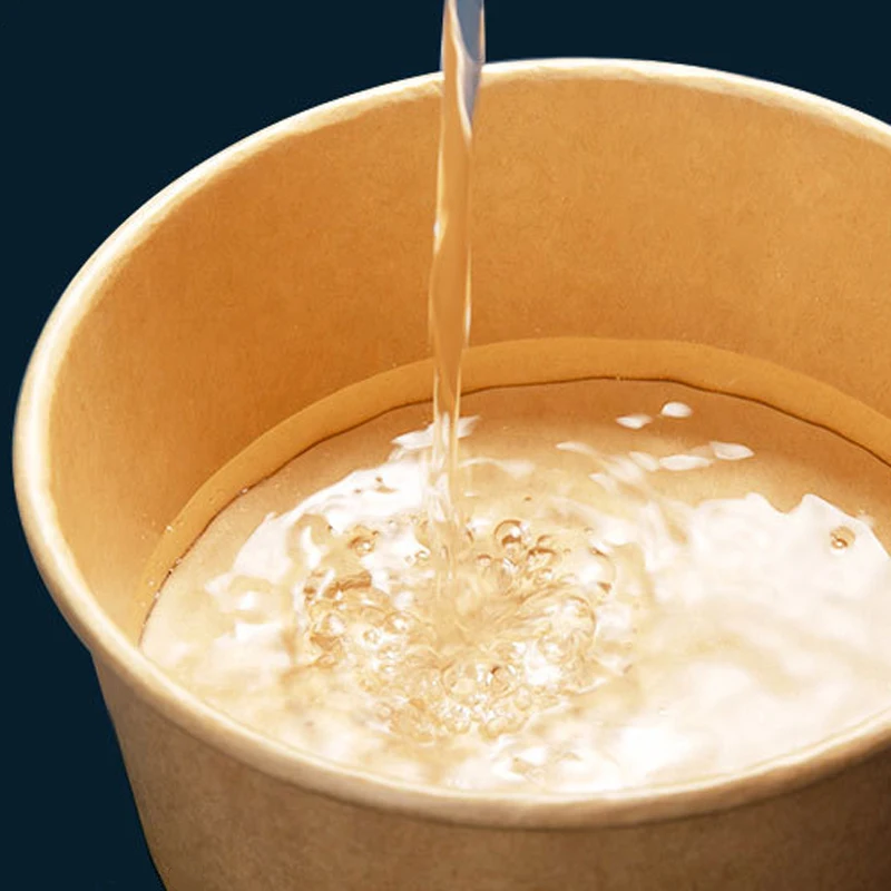 20Pcs Disposable Round Paper Lunch Box with Lid, Eco-Friendly Bento Food Storage Contai... - SKU RPLB1614 - UGI Packaging