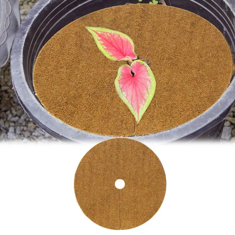 

20/30/40cm Natural Coco Coir Fiber Tree Mulch Ring Protector Organic Mat For Indoor Outdoor Disc Plant Cover Flower Pot