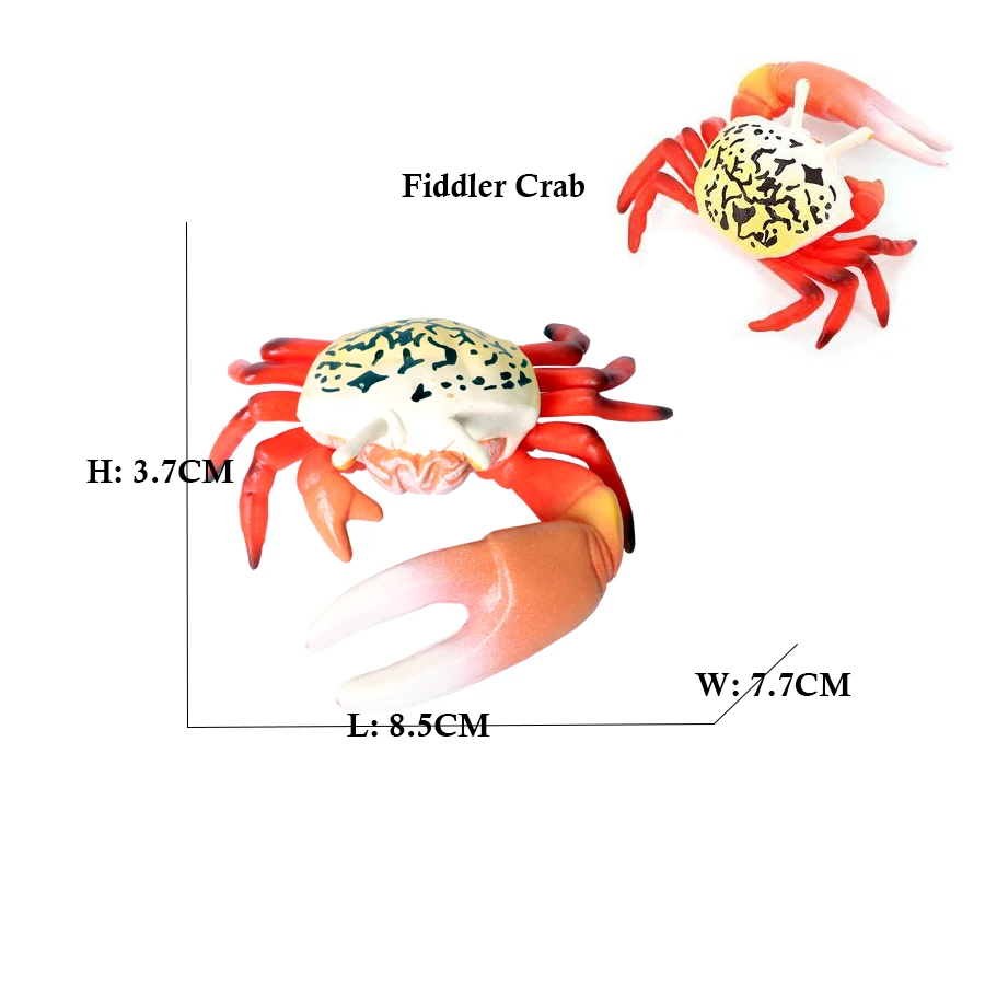 Ocean Life (海の生きもの)    彫刻アクセサリー　4-1A,1B Ocean Life (海の生きもの) 彫刻アクセサリー 4-1A,1B