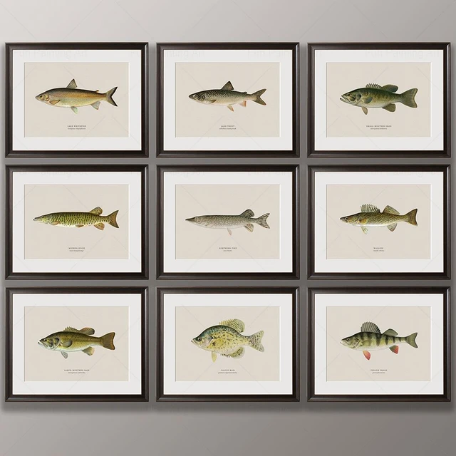 Vintage Freshwater Fish Art Print Fishing Canvas Poster Farmhouse