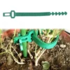 Tree Ties Support Tree Stake Support Bands Heavy Duty Adjustable Interlock Vine Fixing Buckle 10Pcs Reusable Plant Ties 24cm In 5