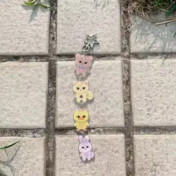 Adorable Kpop Idol Plush Keychain - Cute Cartoon Bag Charm & Fan Merch Gift (Acrylic keychain)