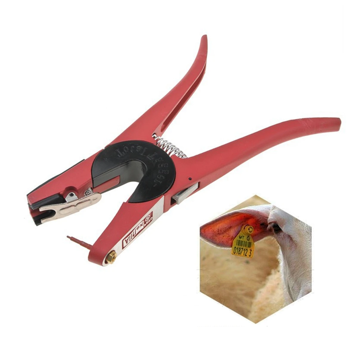 1Pc Pliers-2Pcs Nail#3