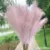 1Pcs Artificial Pampas Grass Home Room Decor Simulation Reed Flower Bouquet DIY Wedding Decoration Birthday Party Supplies 14