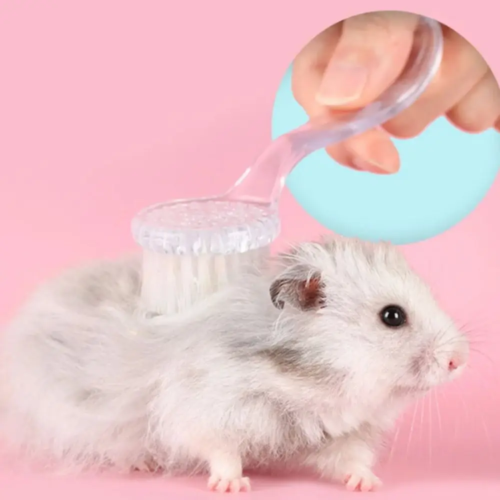 Soft Small Hamster Brush Long Hair Round Head Hedgehog Bathing Brush Hamster Cleaning Plastic Guinea Pig Massage Combs pet hair brush dog grooming comb
