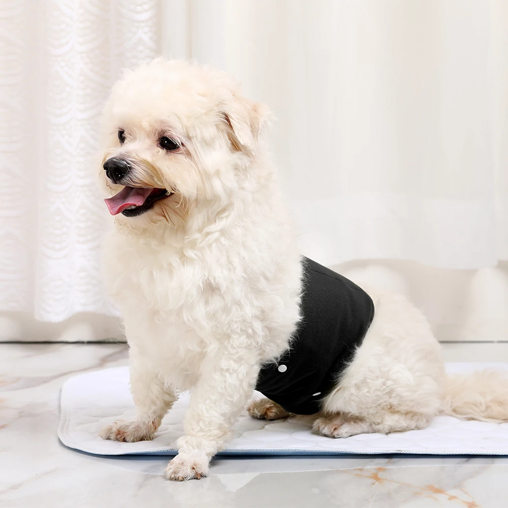 Dog Diapers 2pcs Adjustable Absorbent Washable Reusable for Small to Large Breeds Puppies