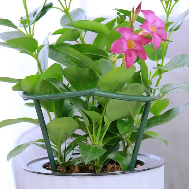 2/6Pcs Plant Support Pile Stand Semicircle Frame Fixed Rod Holder Gardening Arrangement Flower Vine Climbing Bracket Bonsai Tool 3