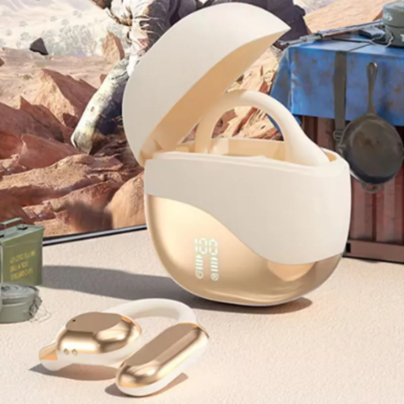 AI Language Translator Earbuds Translator Earphone Real Time 144