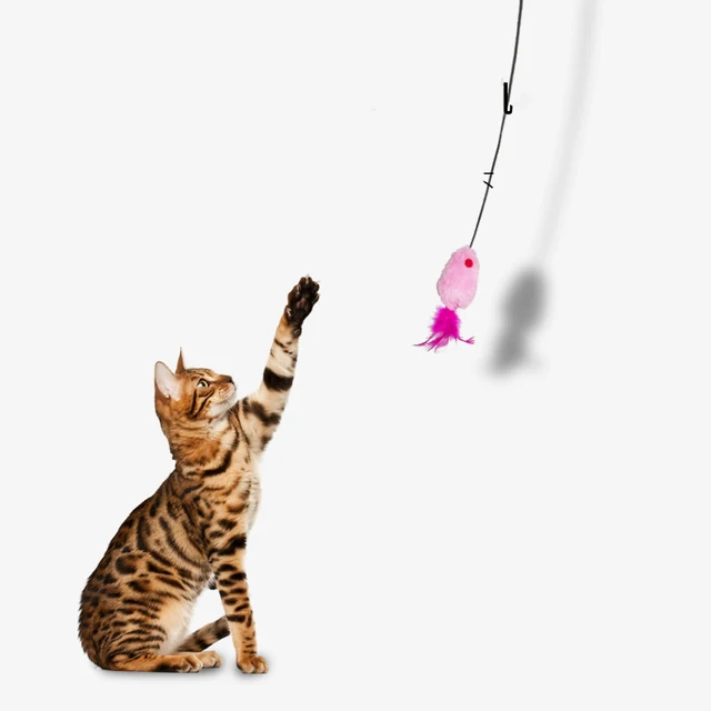 Interactive Door Hanging Cat Toy with Black Mouse Teaser - Entertain and Exercise Your Cat Toy for Indoor Cats Play Supplies 4