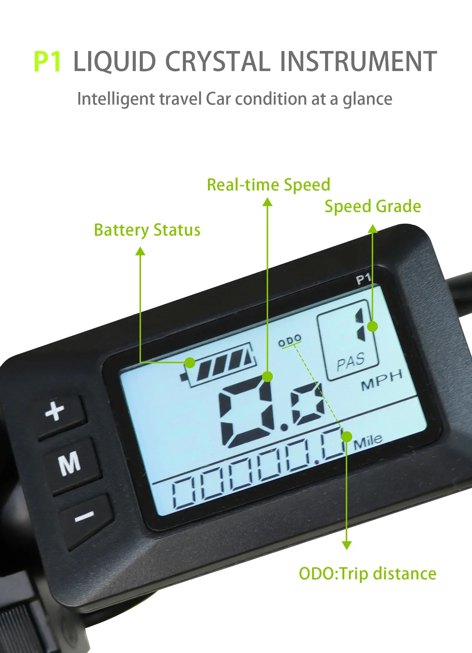 S2313dcb446fb491ea0da794a2b7ed8a6M