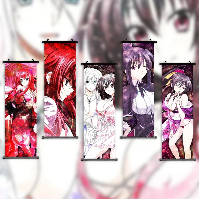 Anime Poster High School DxD characters Wall Scroll HD Painting
