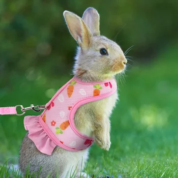 Rabbit Radish Harness Set 1