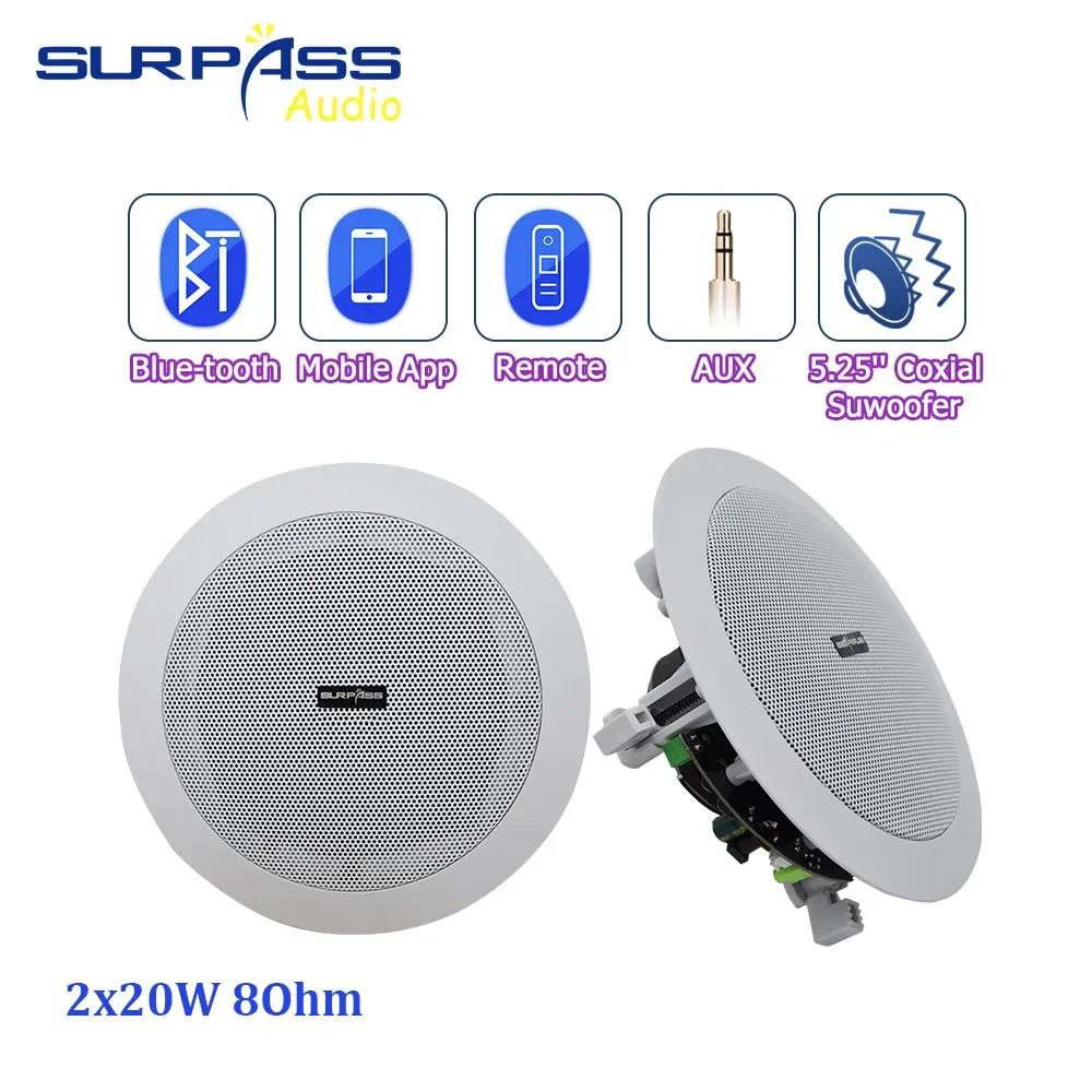 Altoparlante Da Soffitto Wireless Attivo Bluetooth Amplificatore Incorporato In Classe D A Parete Altoparlante Super Woofer Pro Alimentato Da 5.25''