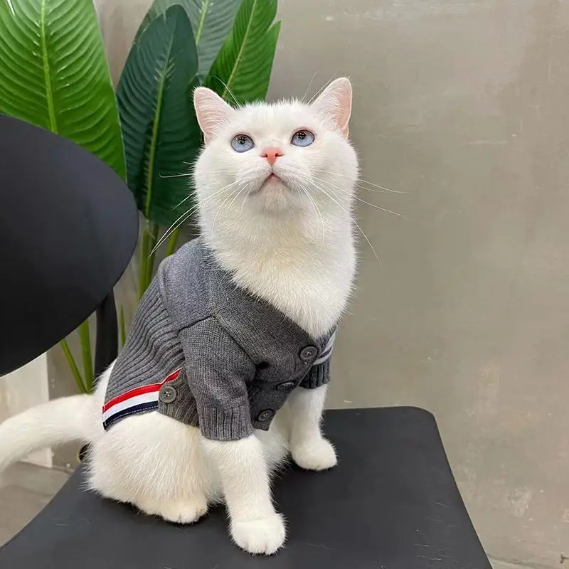 반려동물 귀여운 가디건 강아지 고양이 스웨터, 테디 프리즈 워머, 소형 중형 스웨터, 코트 재킷, 가을, 겨울 패션