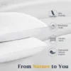 Goose Feathers and Down White Pillows with 100% Cotton Cover, Bed Sleeping Hotel Collection Pillows Set of 2, Standard Size ﻿ 2
