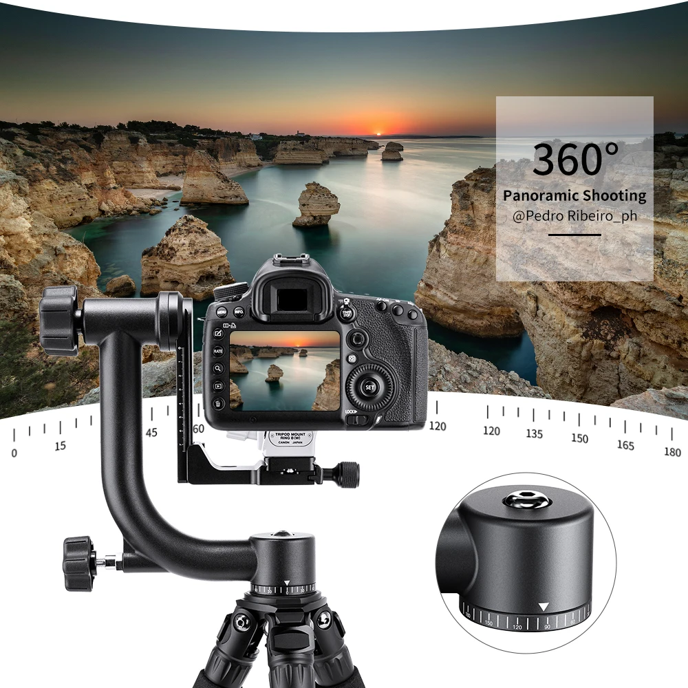 K&F Concept Tripod Head Aluminum Alloy 360 Degree Panoramic Gimbal Bird Tripod Head 1/4 Standard Quick Release Plate