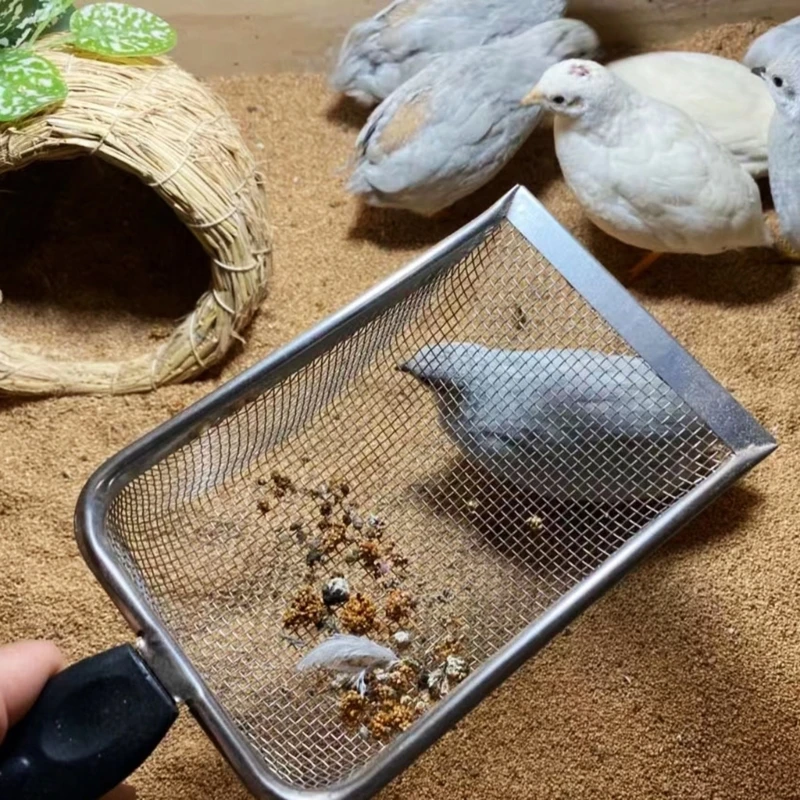 Pelle à sable pour reptile en acier inoxydable, tamis à mailles