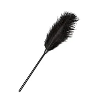 33CM Ostrich Feather Whip,PVC Handle Spanking Paddle Whip fo Cosplay Performance Props 1