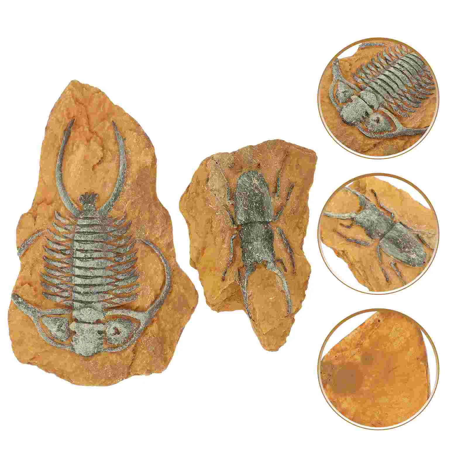 

2 Pcs Simulated Resin Fossil Desert Decor Decorative Terrarium Decors Crawling Landscape Reptile Creative Child Snake DIY